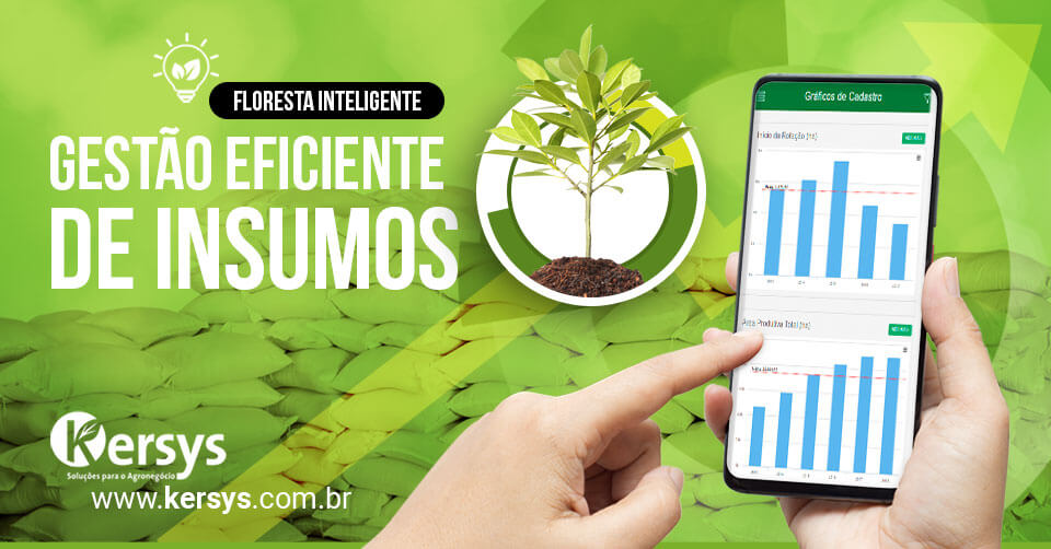 Gestão de insumos florestais eficiente: como promover?