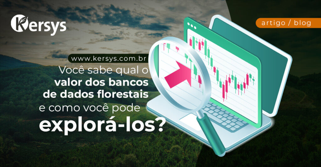 Você sabe qual o valor dos bancos de dados florestais e como você pode explorá-los?