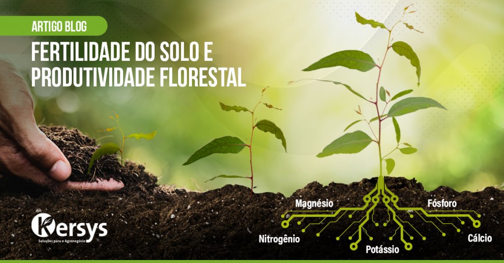 Fertilidade Do Solo E Produtividade Florestal - Kersys