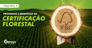 Certificação Florestal: os processos e benefícios de conquistar o Selo Verde