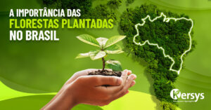 Importância das Florestas Plantadas no Brasil